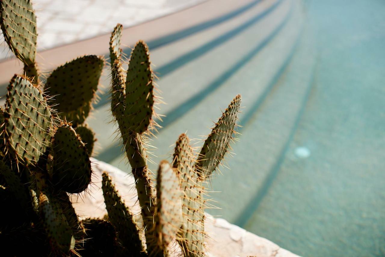 Echi Di Puglia Bed & Breakfast Polignano a Mare Luaran gambar